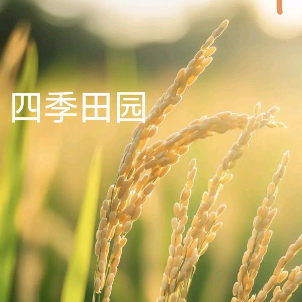 四季田园