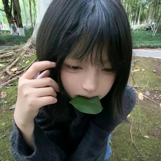 🔔✘ฅ՞••՞