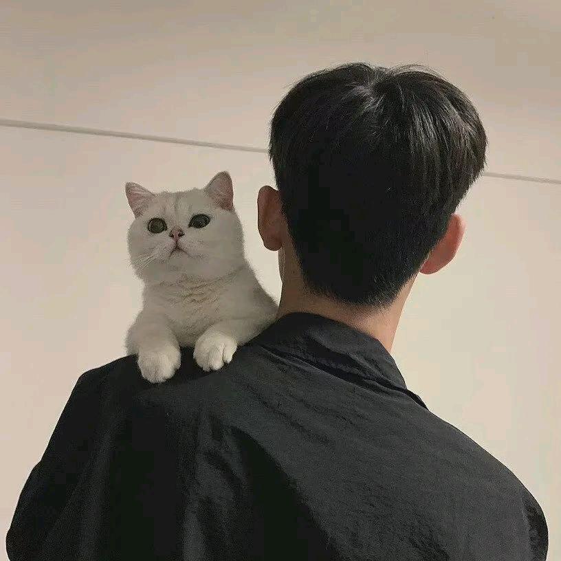顾森🍸