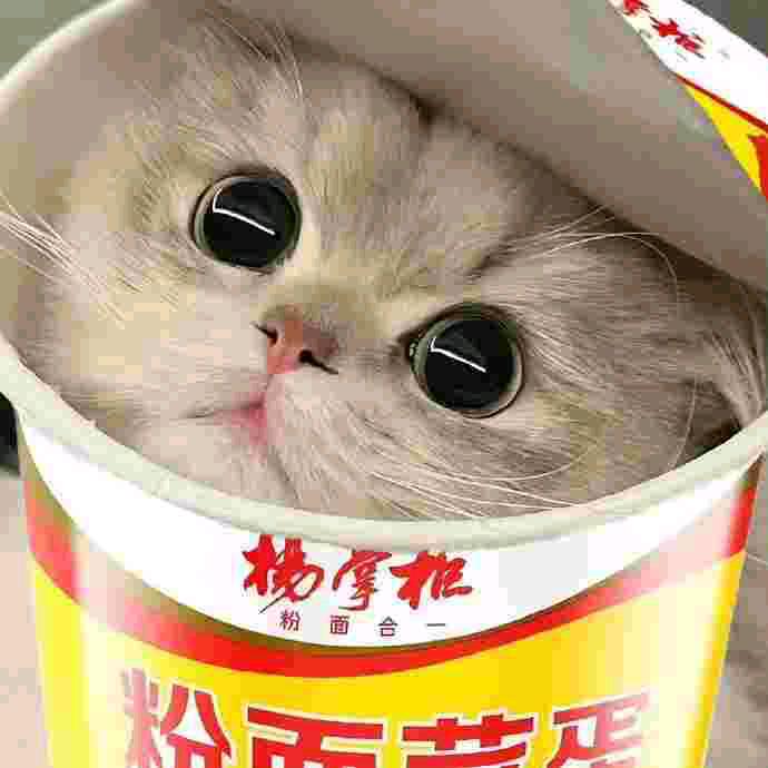 未完结的故事