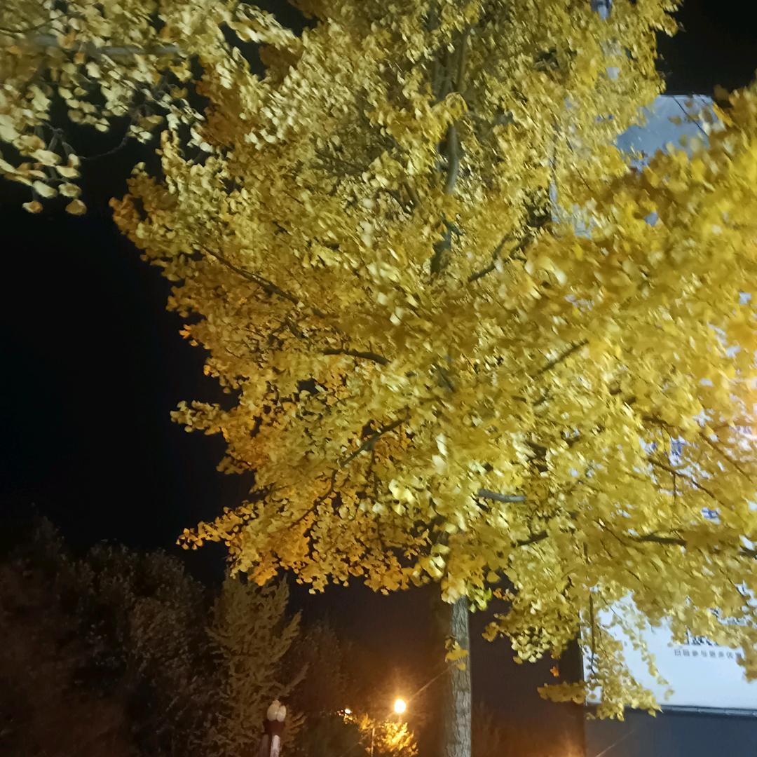 走出江湖