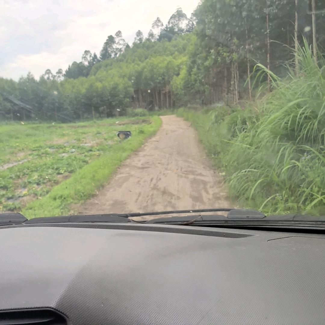 那座废墟
