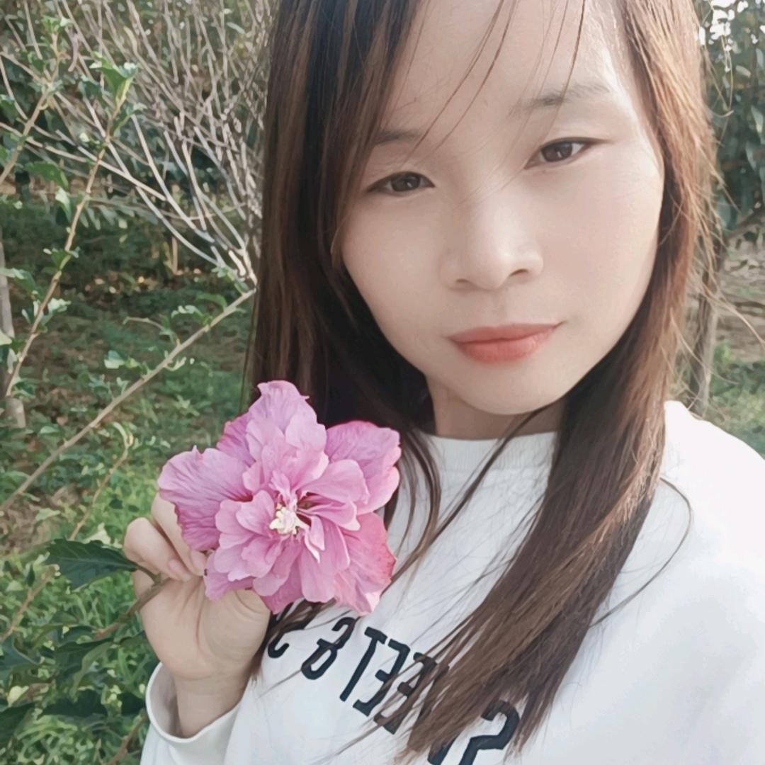 百合园林  朱玲