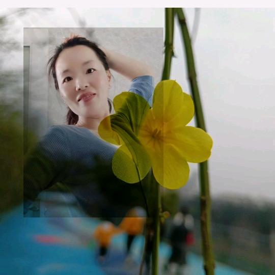 娟子姐好物商铺