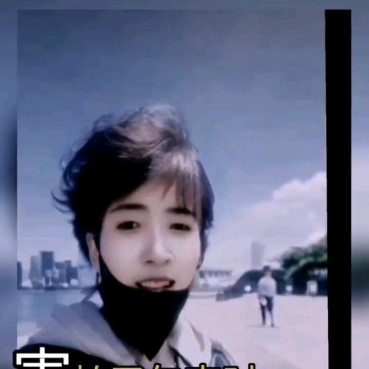 柒狐