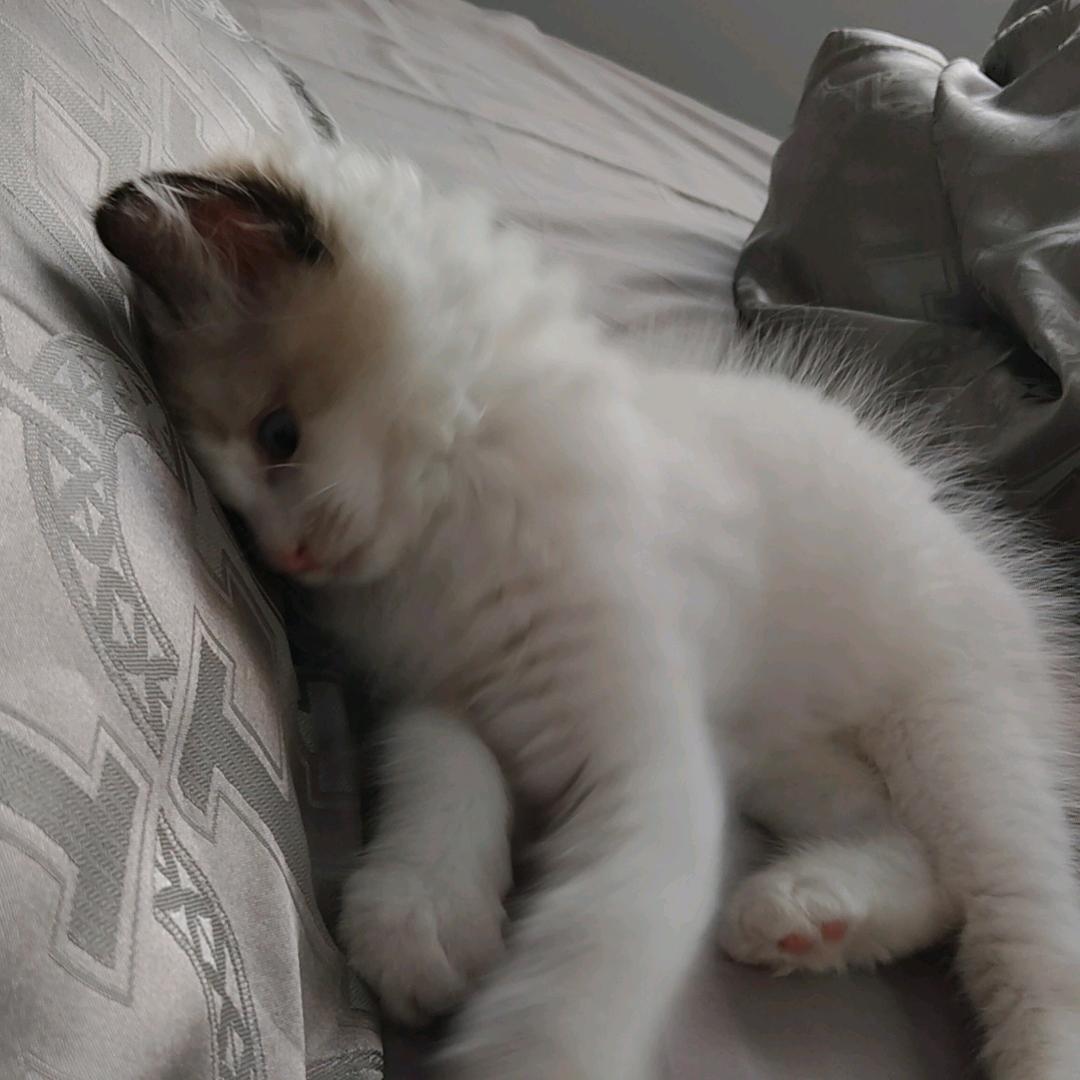 ♡