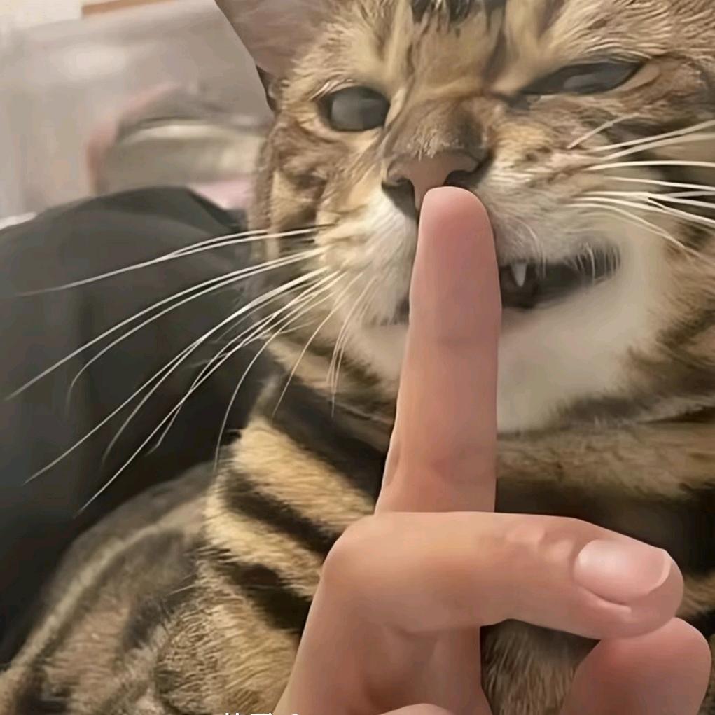 赵一龙