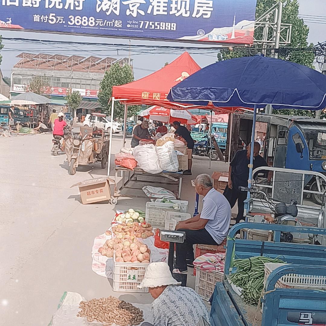 向往明天