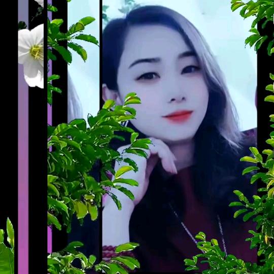 彩虹2🎤