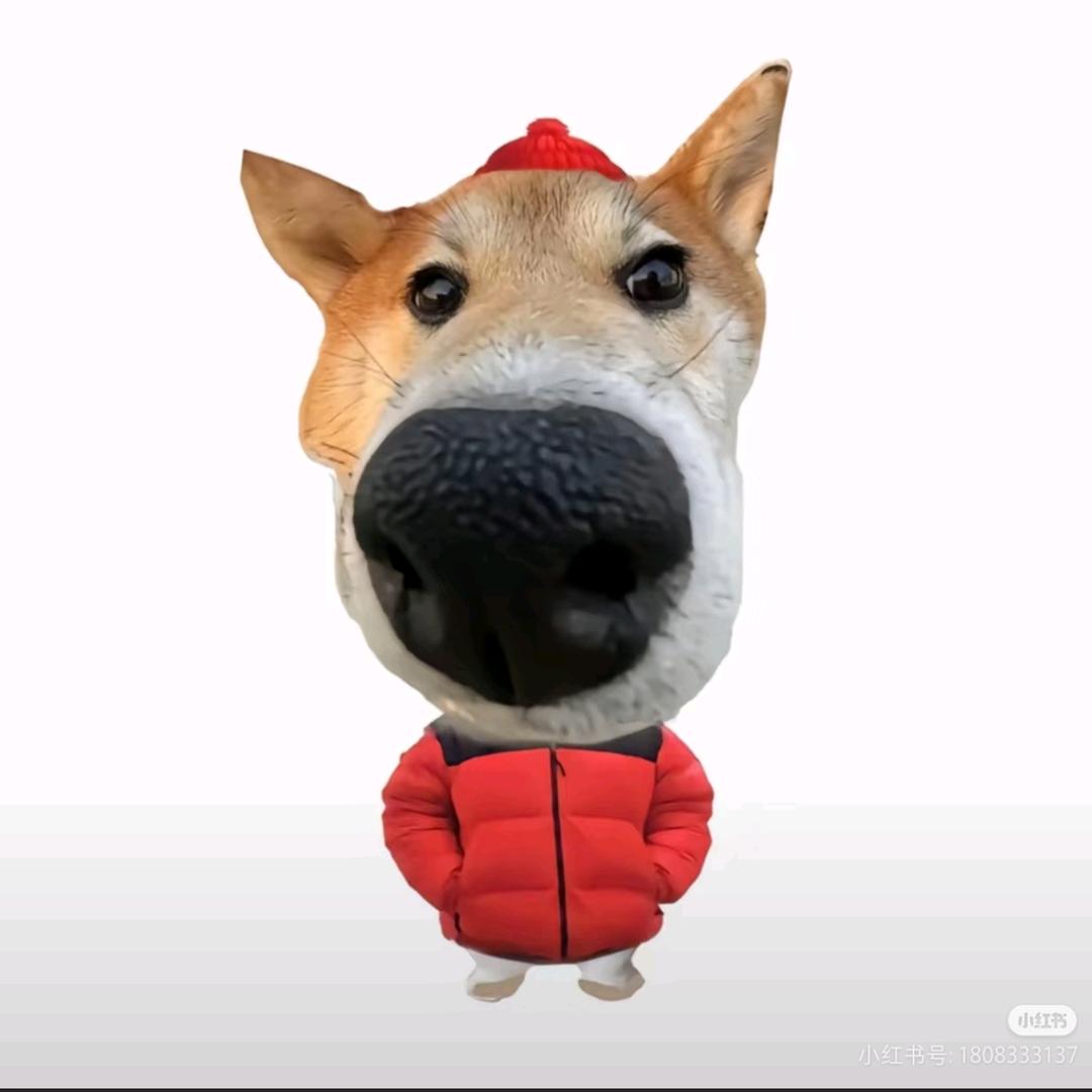 呆头小狗
