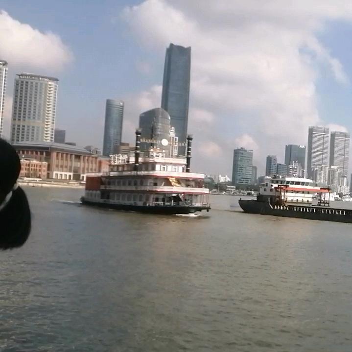 陈皮