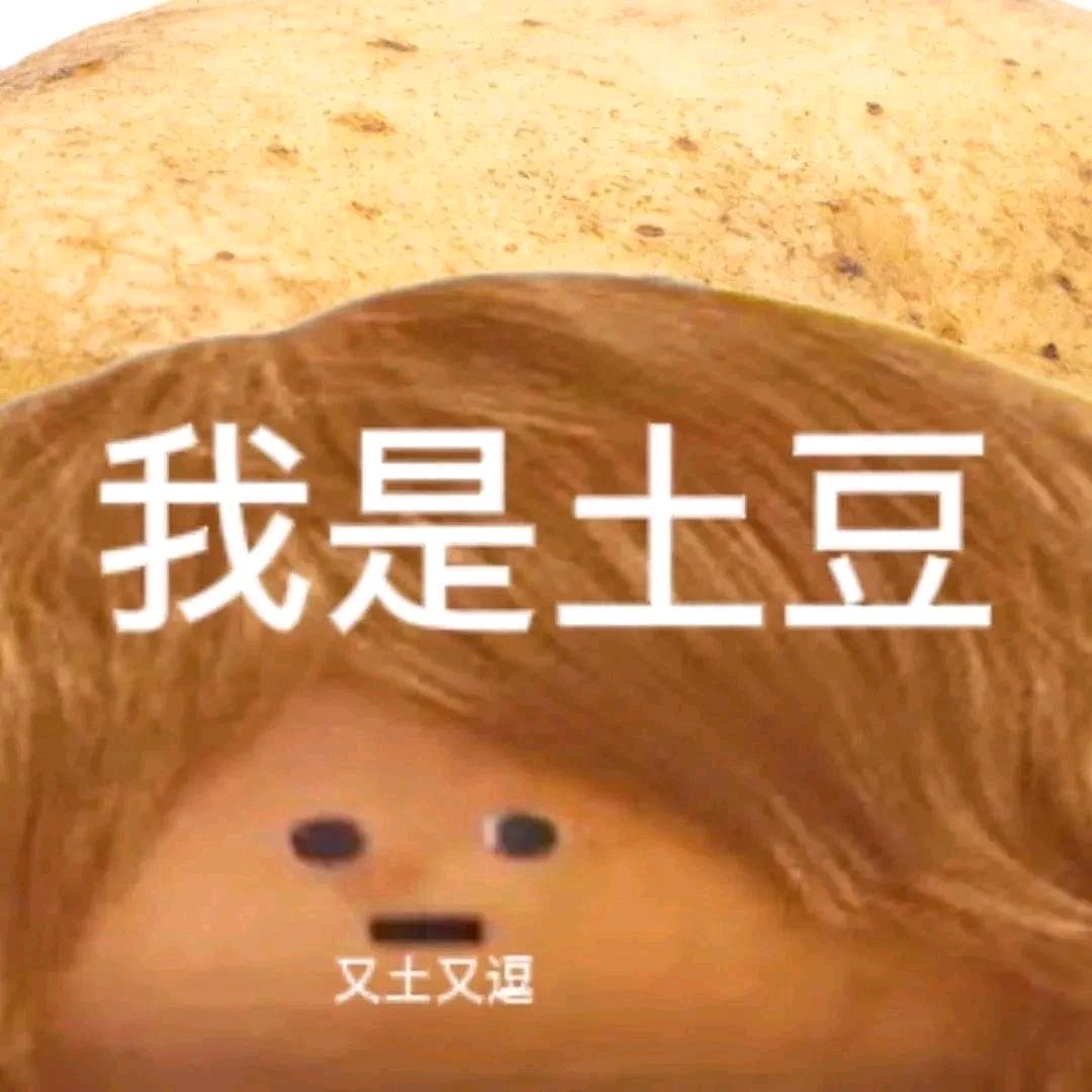 土豆土豆块块儿🥔