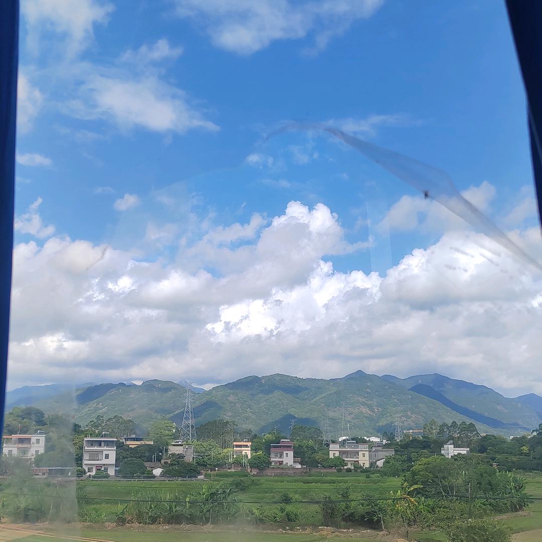 想退休🤫