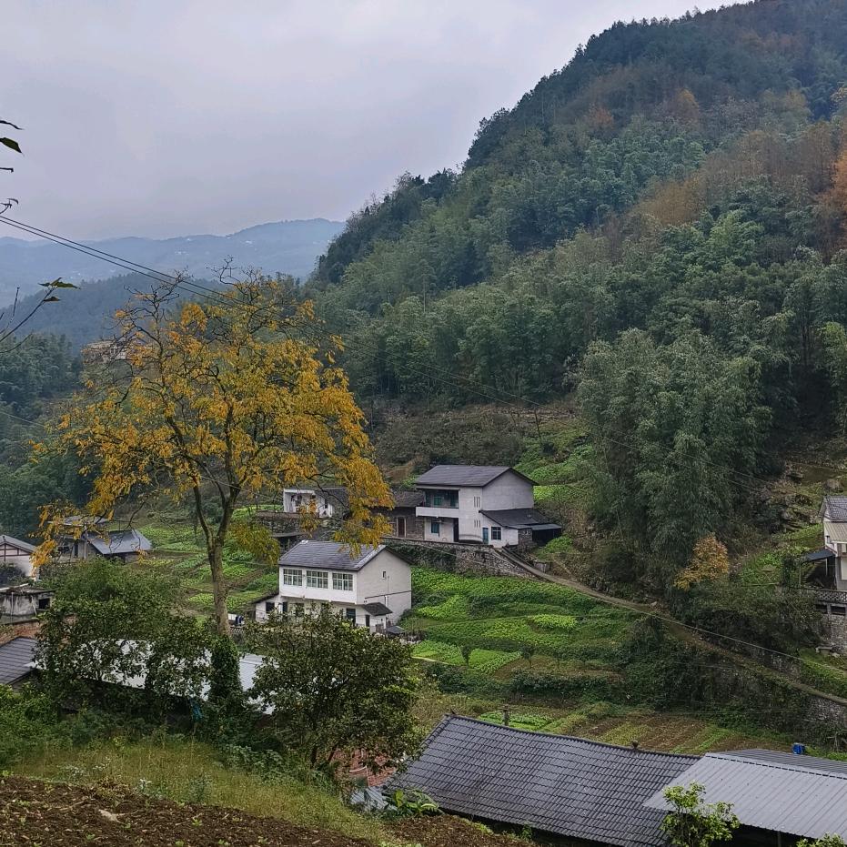 努力是唯一的选择