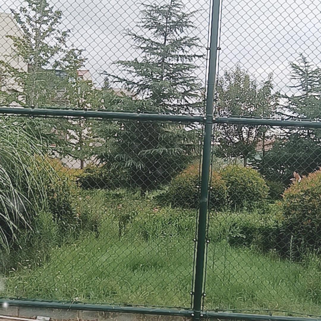 甜蜜幸福