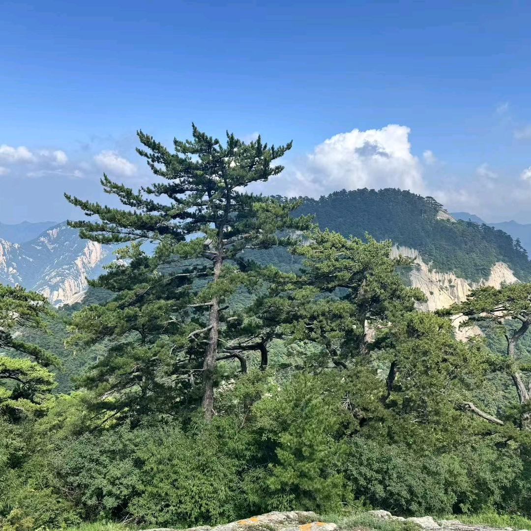 一生靠打拼