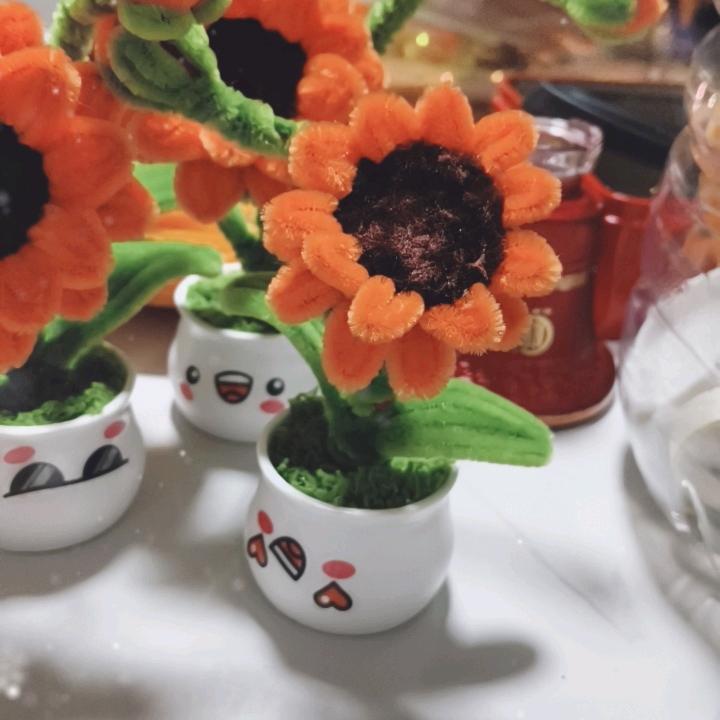 花花的世界