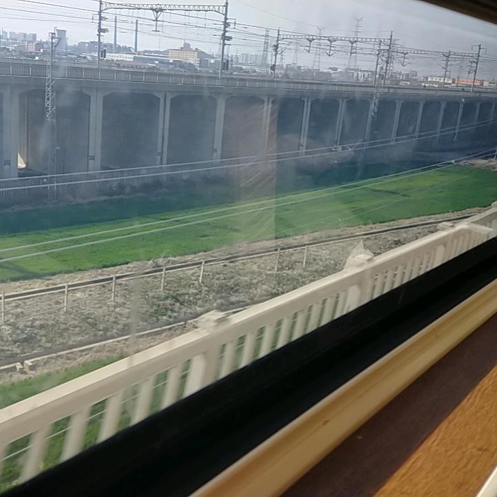 一生爱你