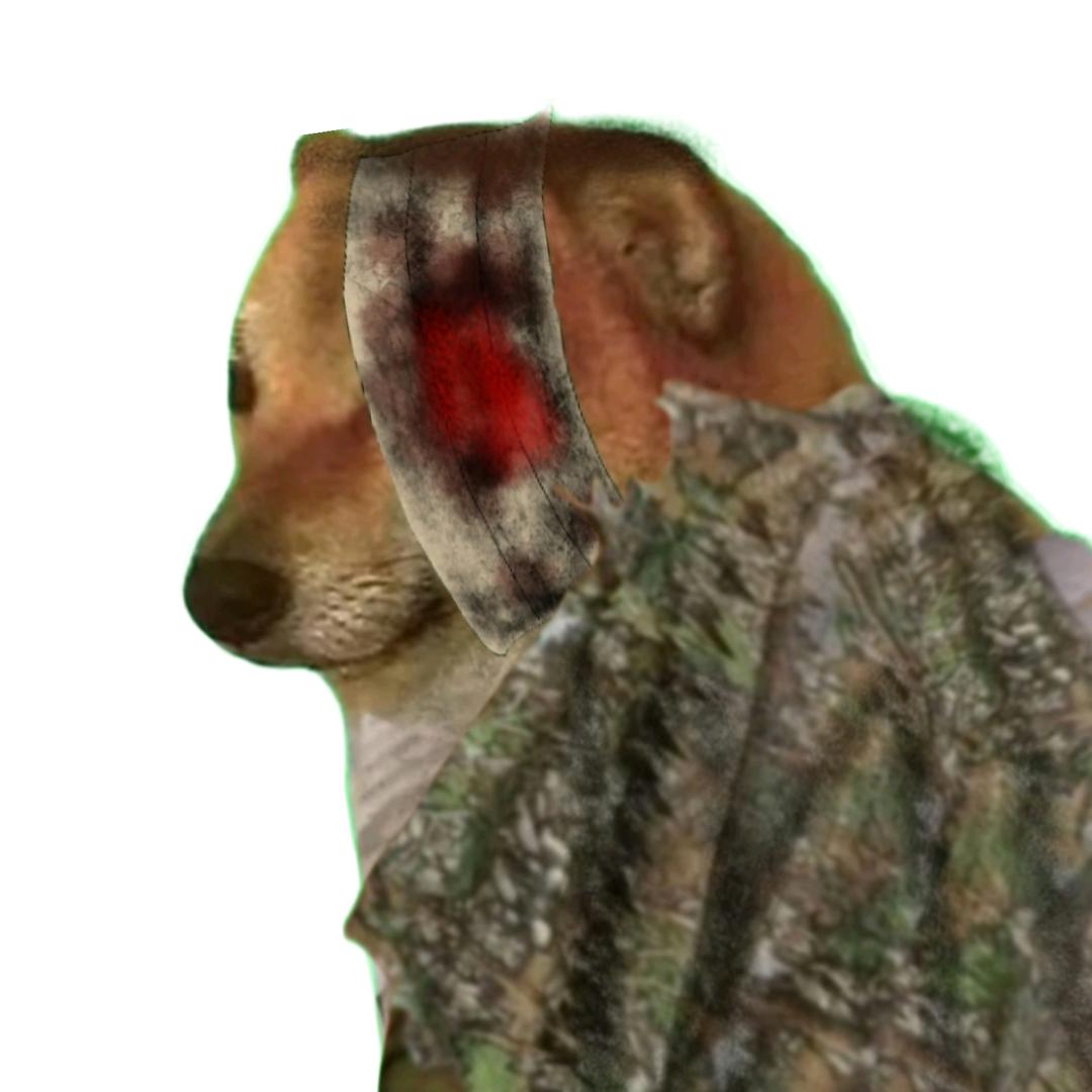 刘涛(暗区突围)