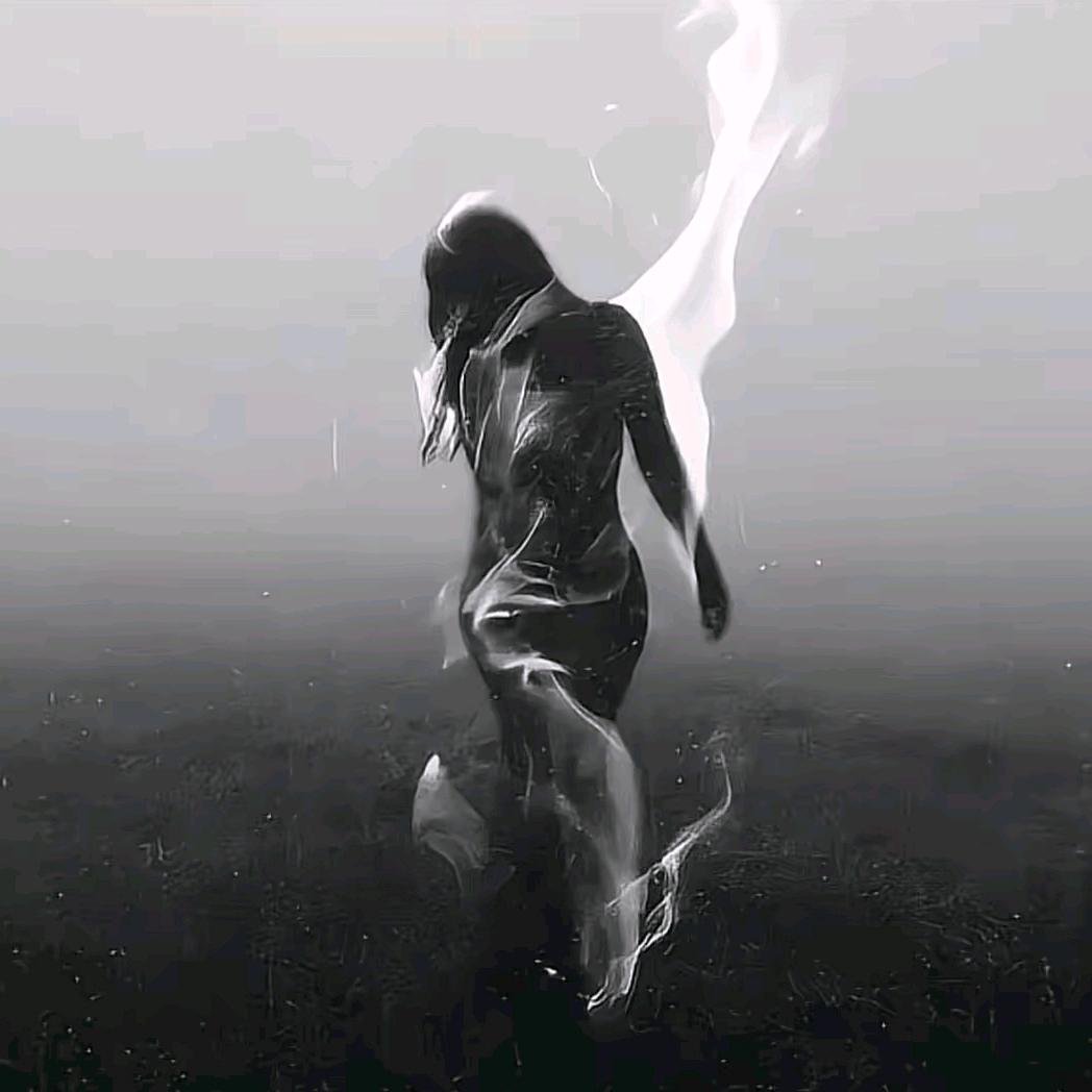同心圆