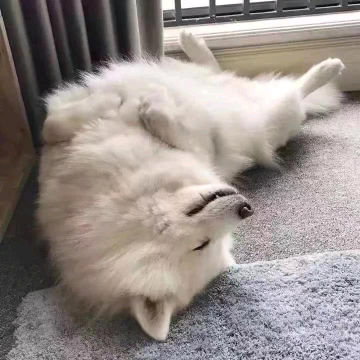 安若暖城