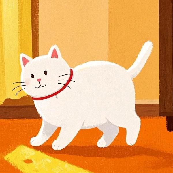 圆宝儿😽😽😽