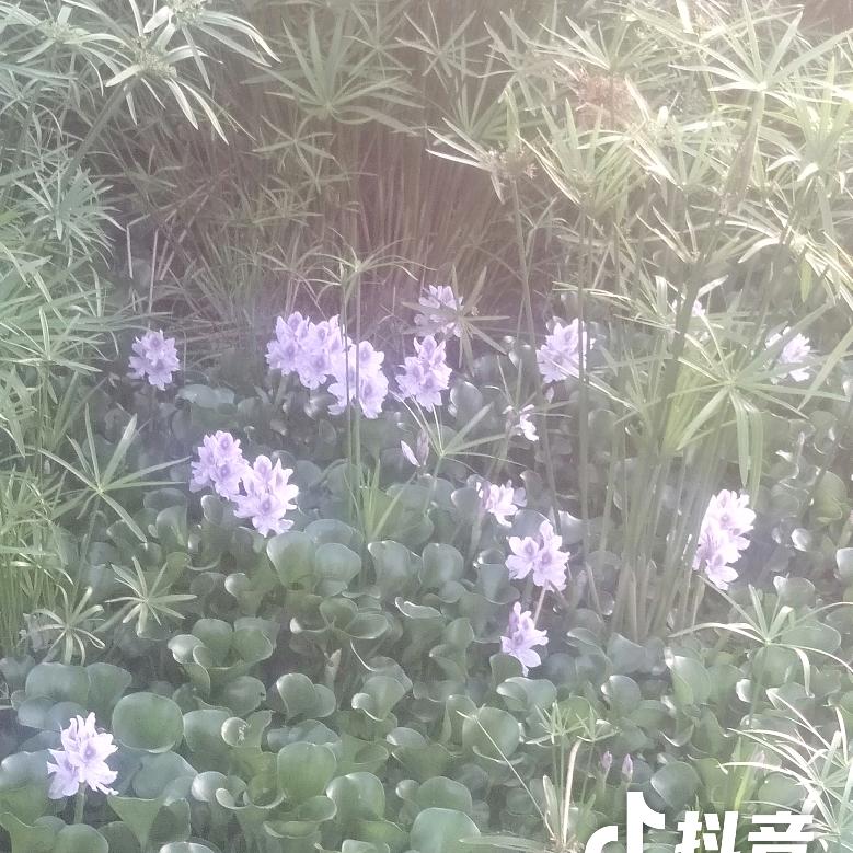 蓝天白云