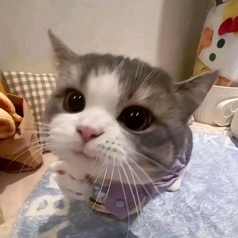 迟日江山丽，春风花草香