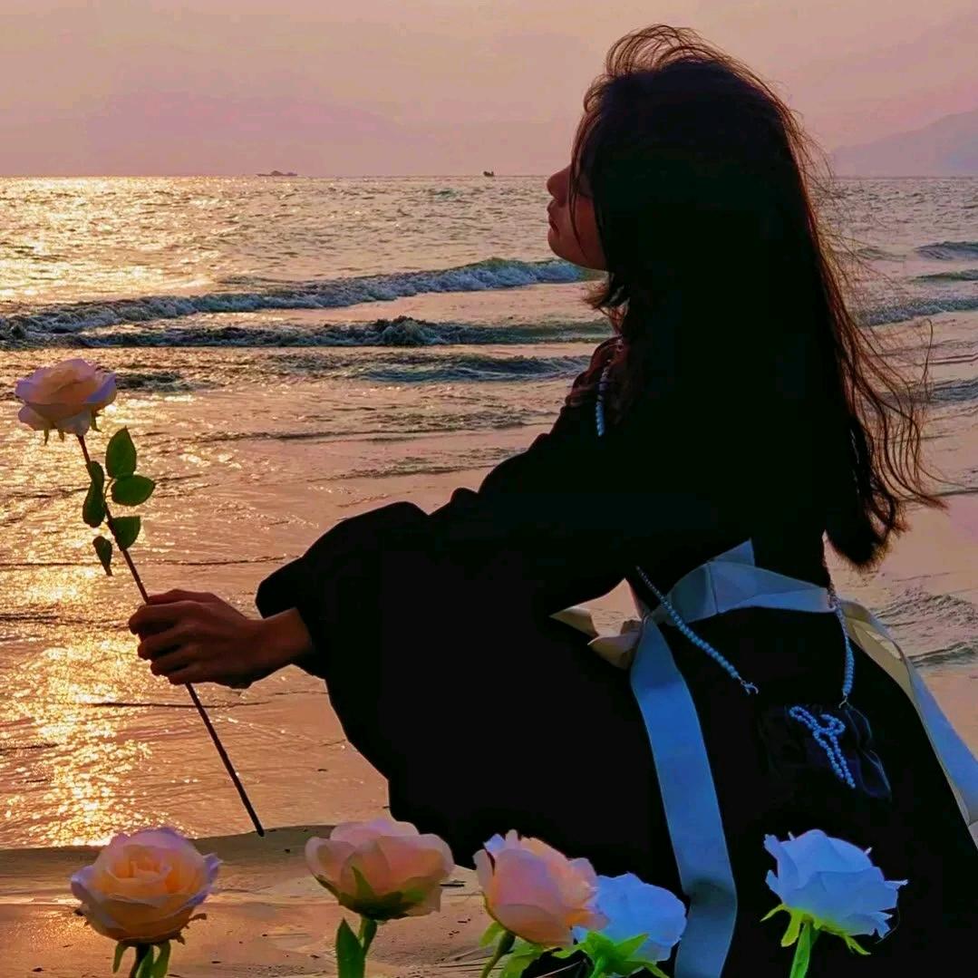 文文pro.🌸