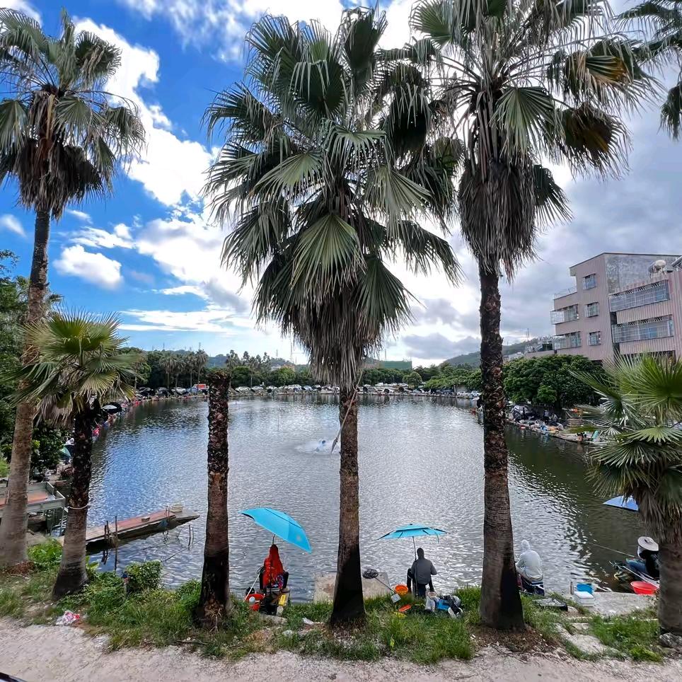 土湖农场🇨🇳马骝岭钓场🇨🇳