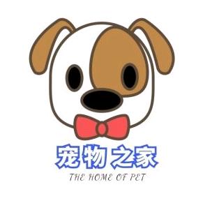阳阳宠物零食