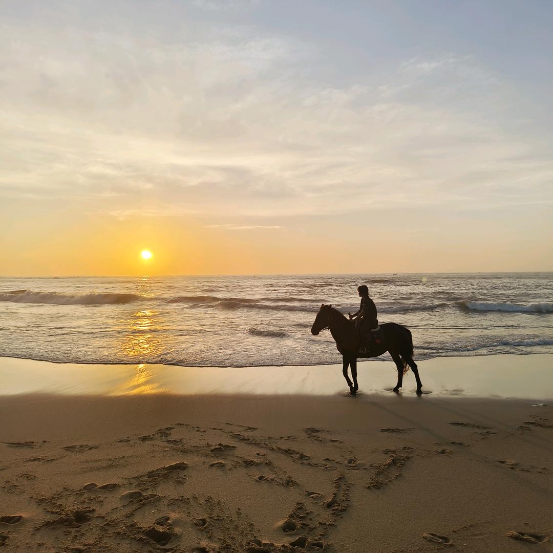 爱骑马的小宝🌸²⁹¹⁹