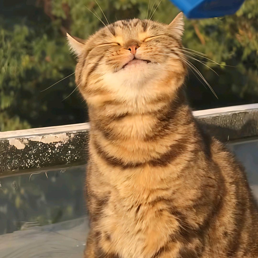 星星★