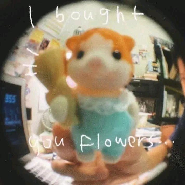 好柿朵朵