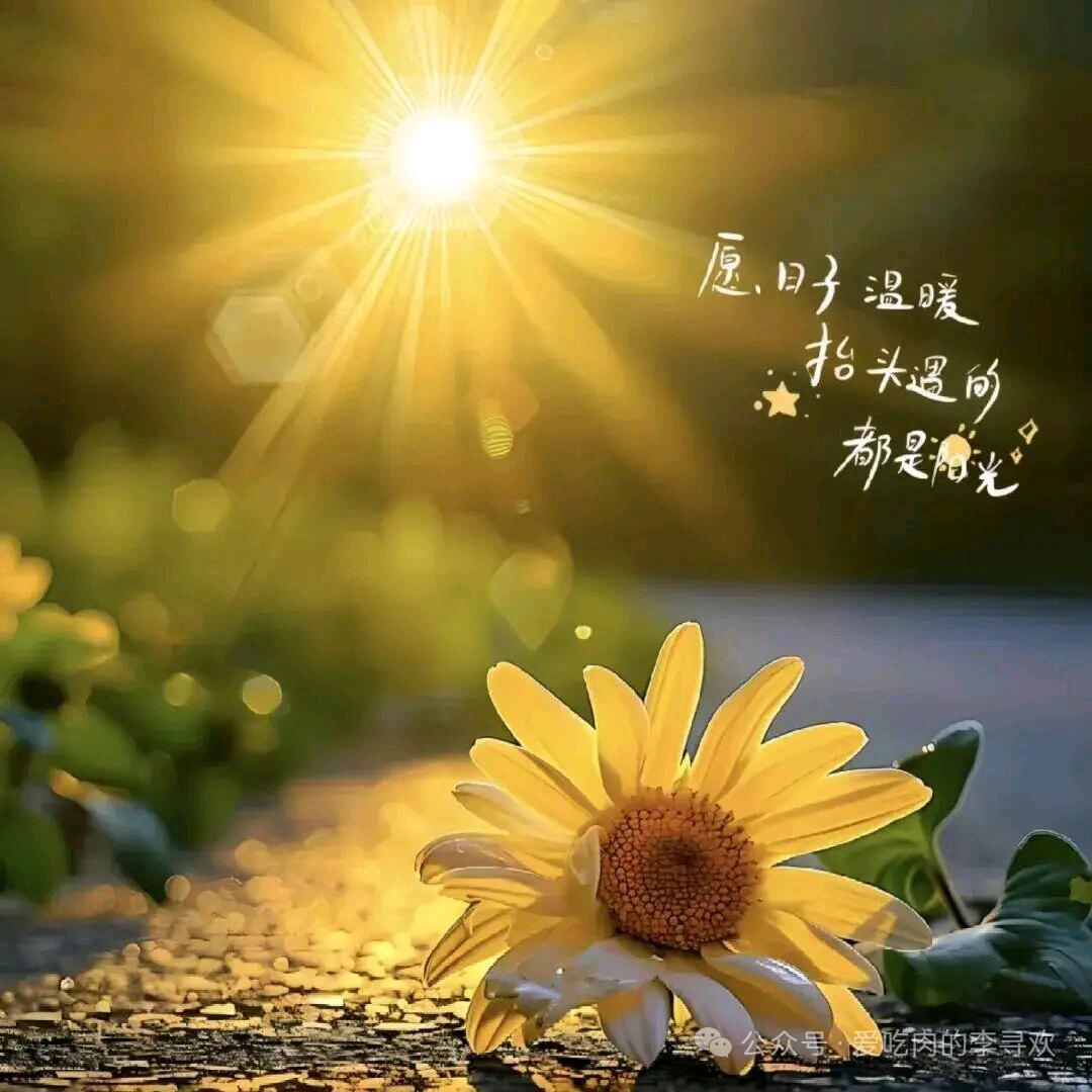 ʚɞ月亮打翻了牛奶罐🥛