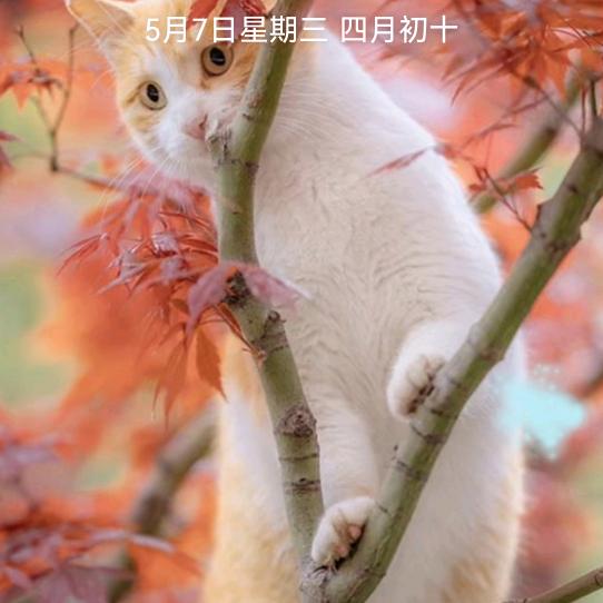 好人一生平安