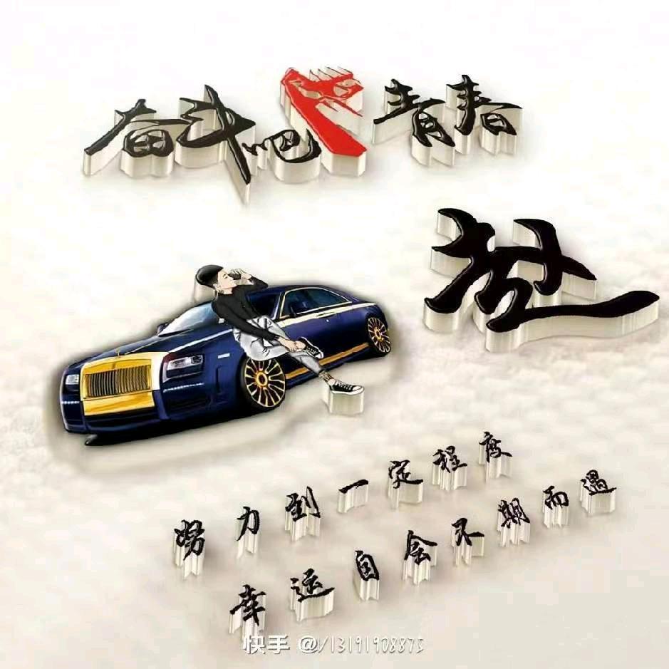 赵  新  宠 物 狗