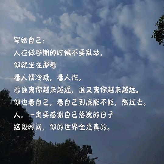 姜金金