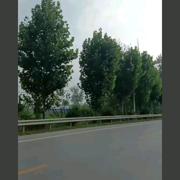 漫步前行