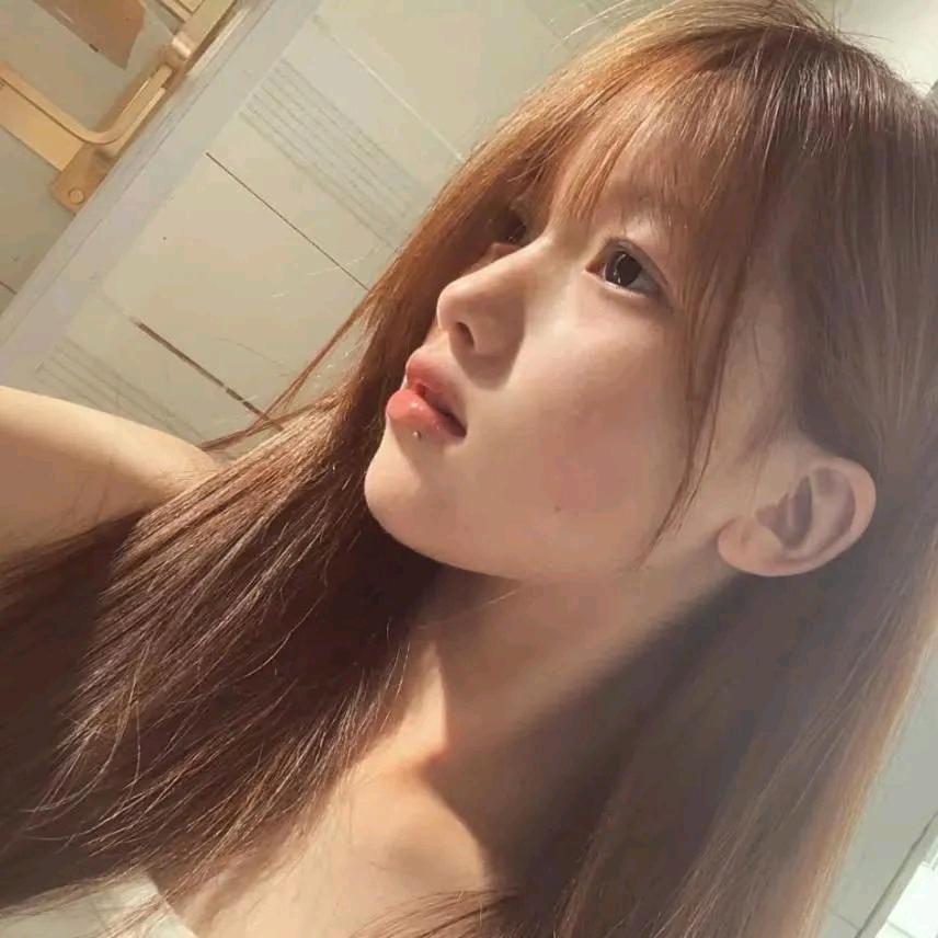 ︉︎  ㅤㅤ ㅤㅤ