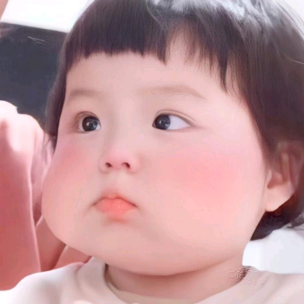 文少蛮王