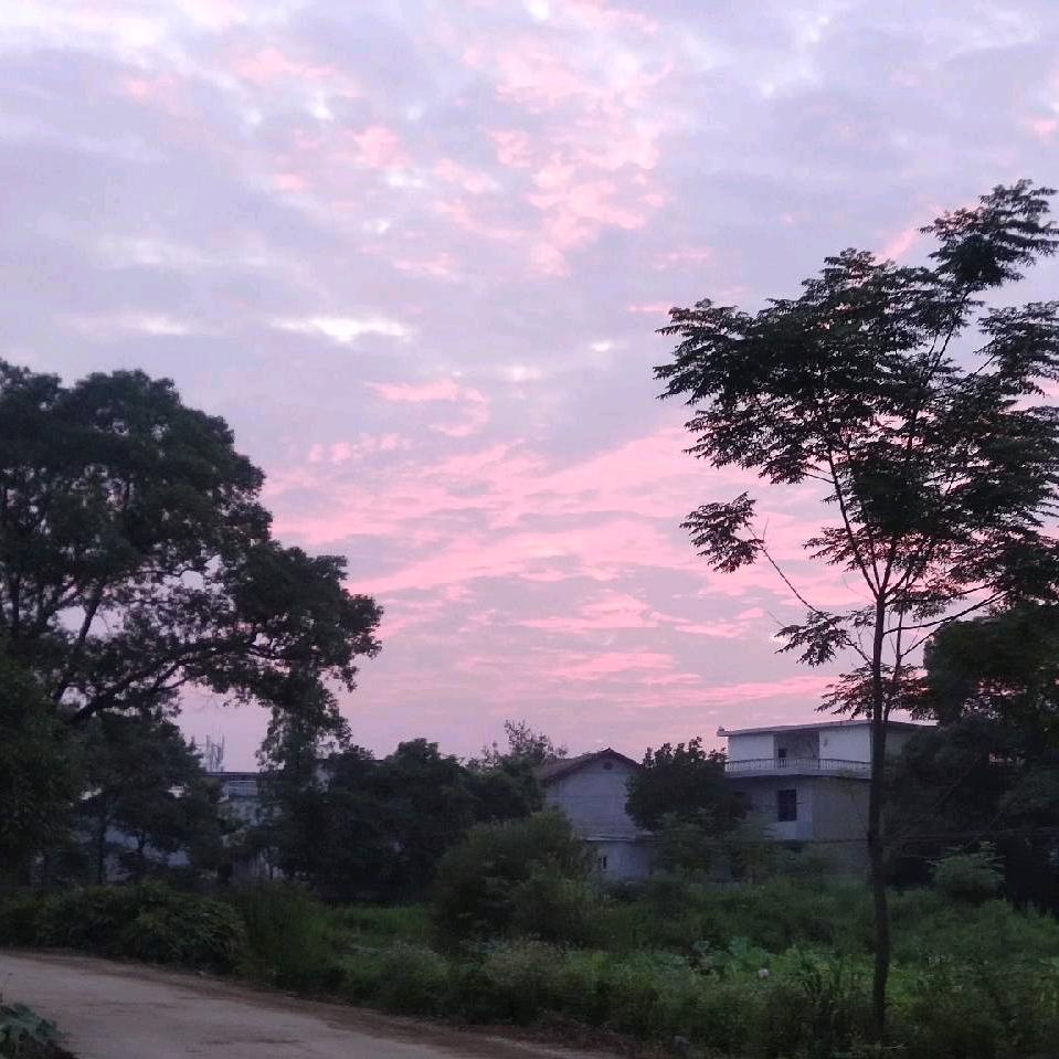 汪汪日记