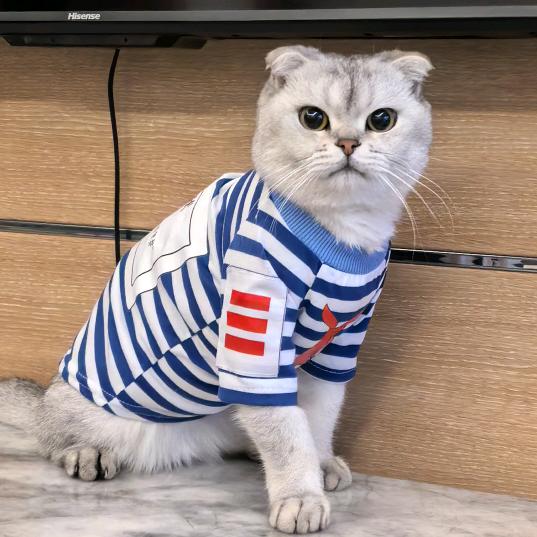 奇幻宝宝要有钱