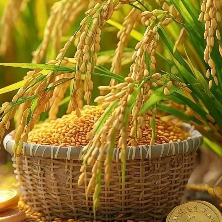 是蕾姐吖