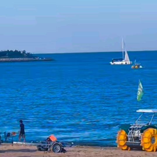 日照海鲜苗