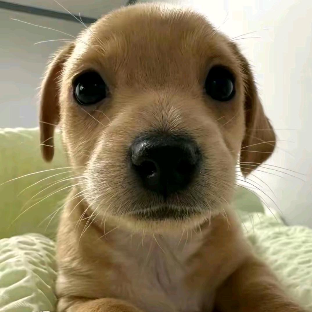 🤯
