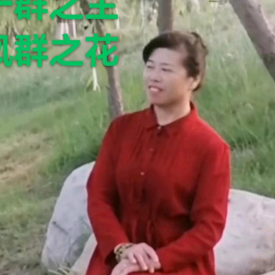 凤