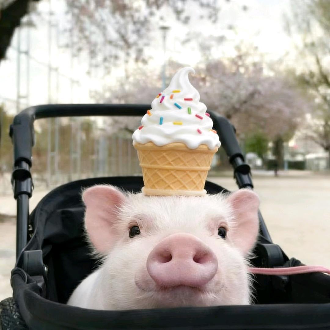 追溯等188.4万人