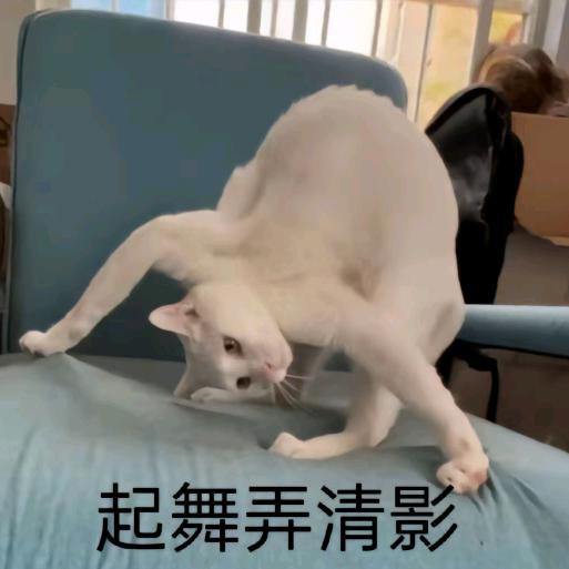 啊~~~