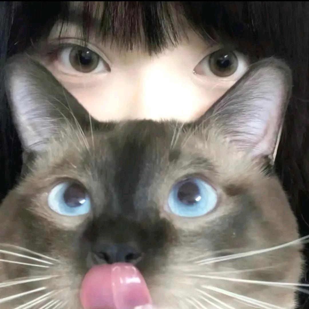 AAA零食批发李总